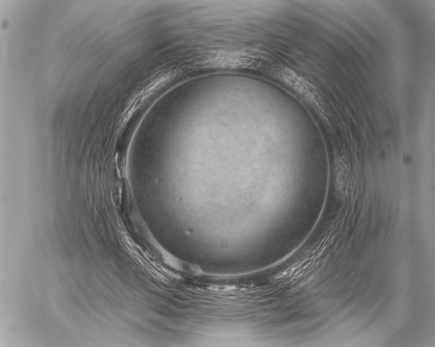 X0000059240486200510171435