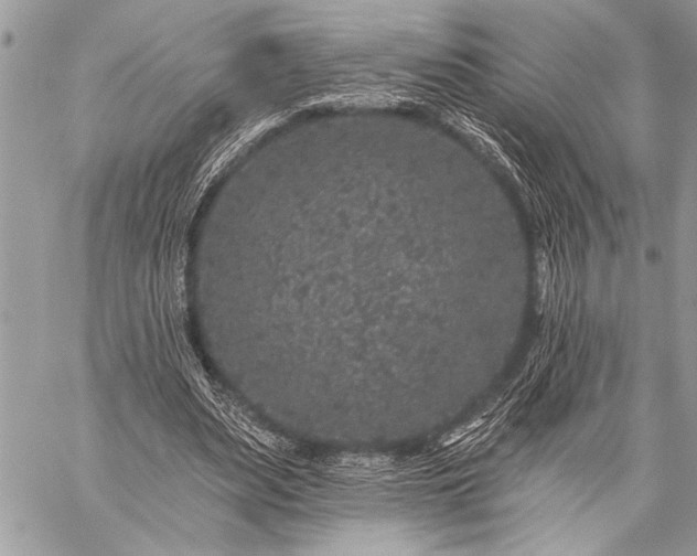 X0000059240487200510171435