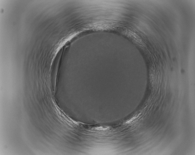 X0000059240488200510171435