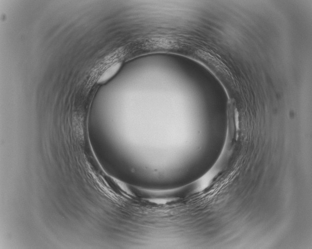 X0000059240489200510171435