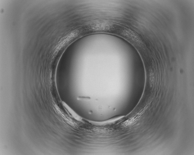 X0000059240490200510171435