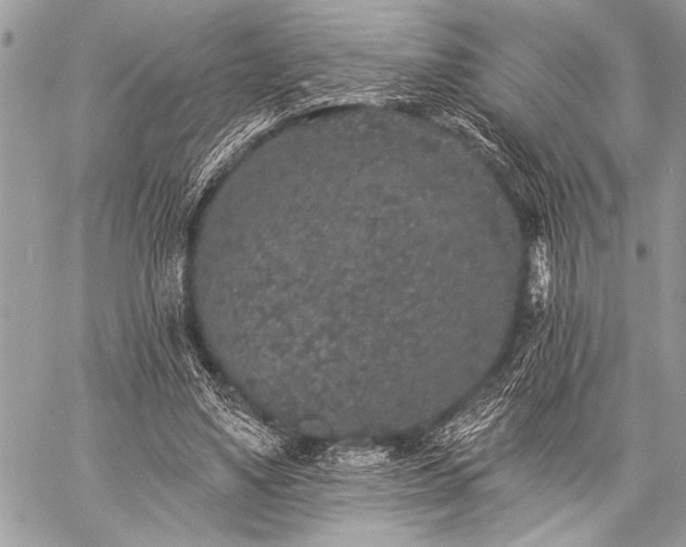 X0000059240491200510171435