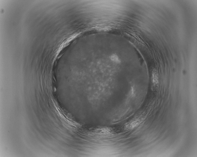 X0000059240492200510171435