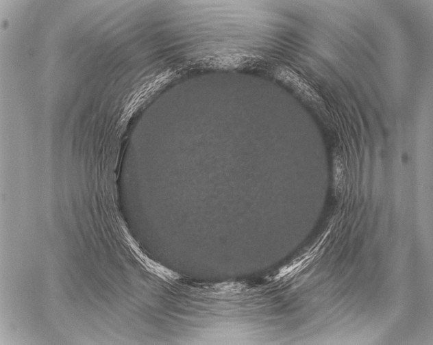 X0000059240493200510171435