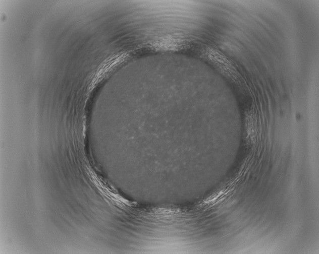 X0000059240494200510171435