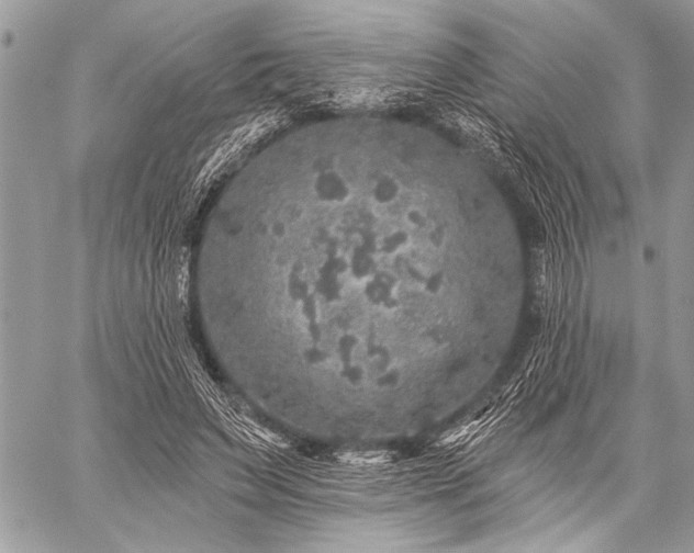 X0000059240495200510171435