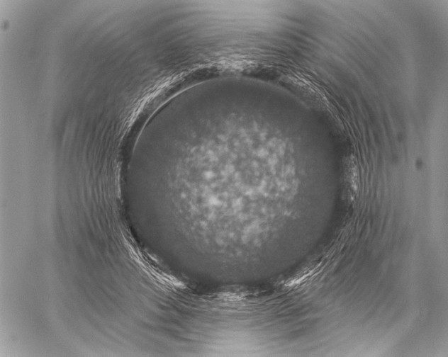 X0000059240496200510171435