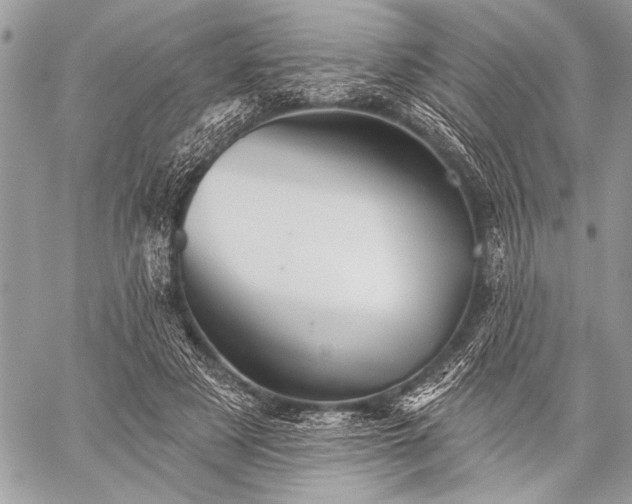 X0000059240497200510171435