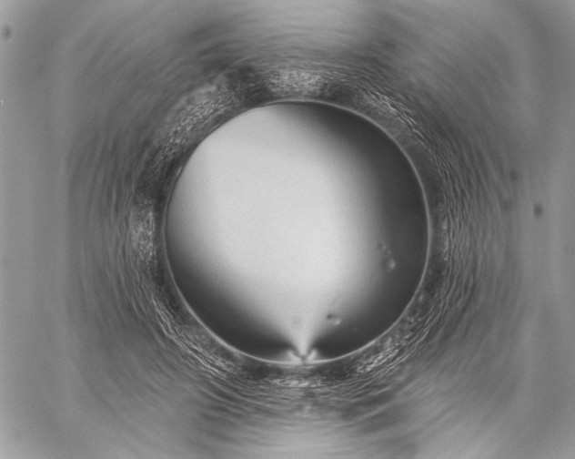 X0000059240498200510171435