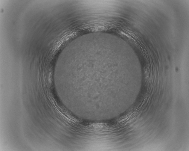 X0000059240499200510171435