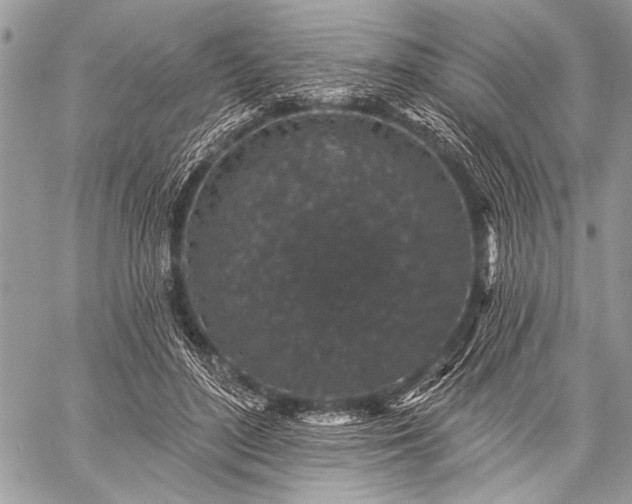 X0000059240500200510171435