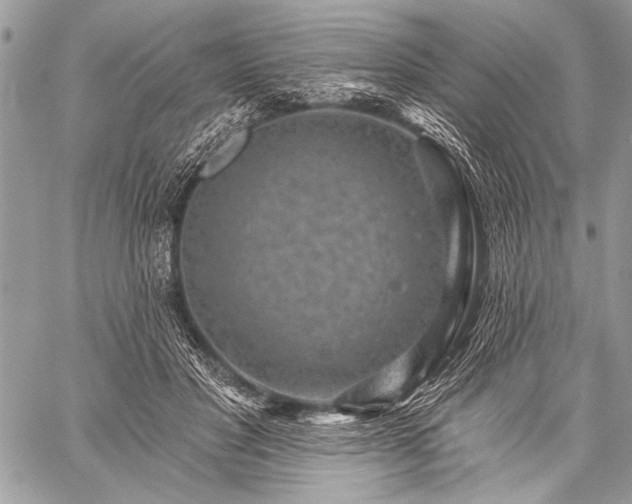 X0000059240501200510171435