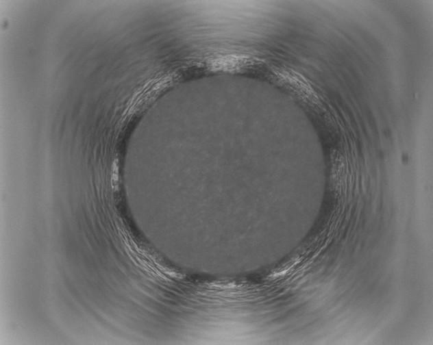 X0000059240502200510171435