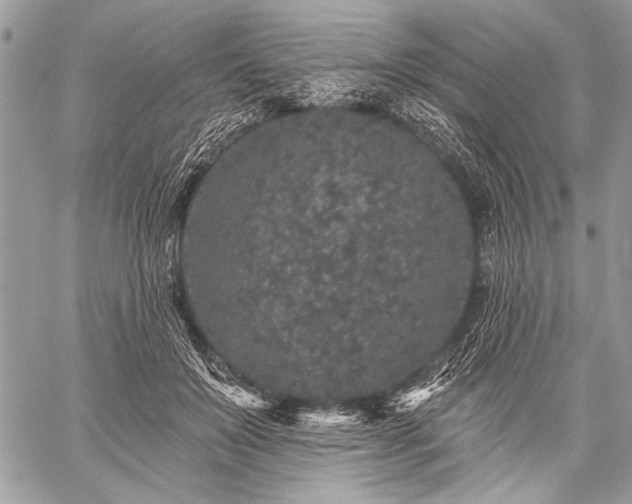 X0000059240503200510171435