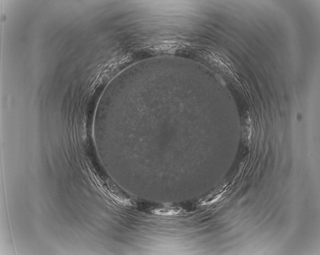 X0000059240504200510171435