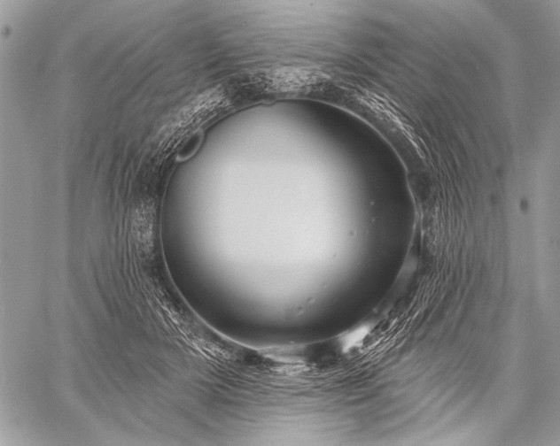 X0000059240505200510171435