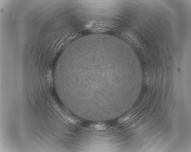 X0000059240506200510171435