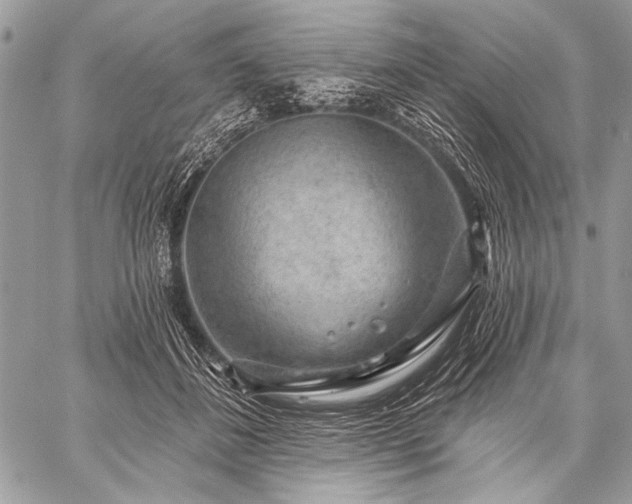 X0000059240508200510171435