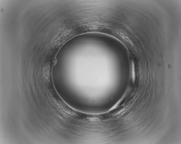 X0000059240509200510171435