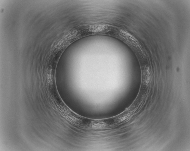 X0000059240510200510171435