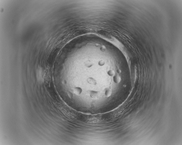 X0000059240511200510171435