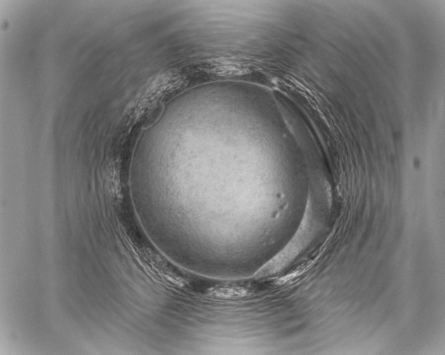 X0000059240512200510171435