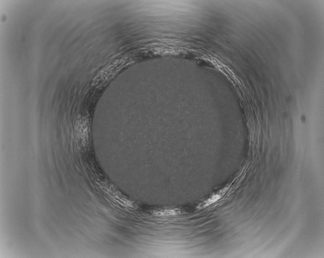 X0000059240513200510171435