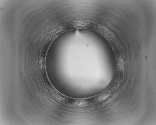 X0000059240514200510171435