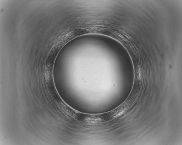 X0000059240515200510171435