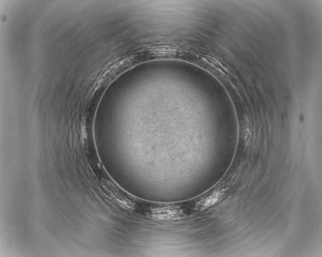 X0000059240516200510171435