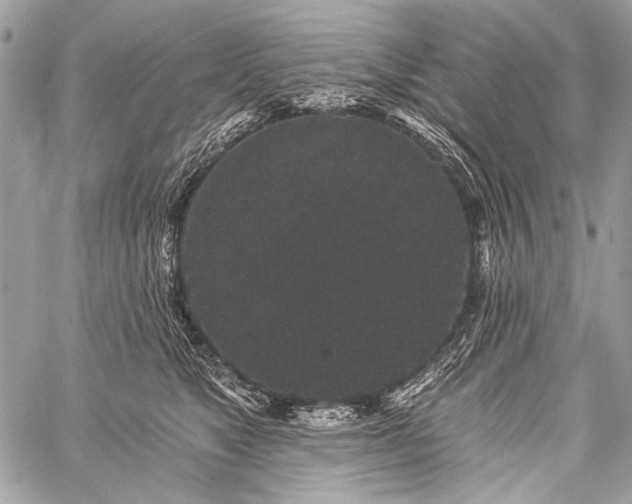 X0000059240517200510171435