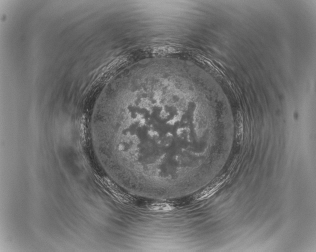 X0000059240519200510171435