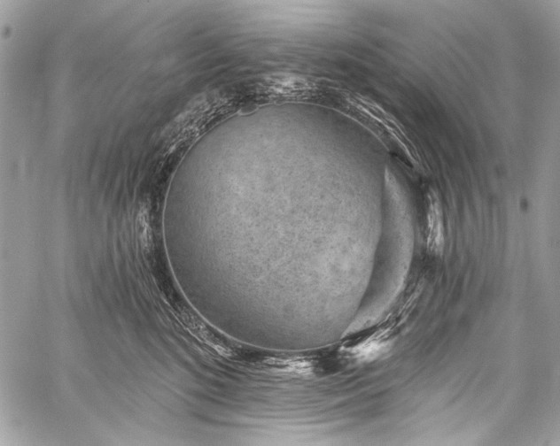 X0000059240520200510171435