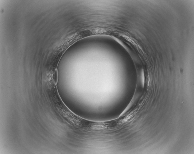 X0000059240521200510171434