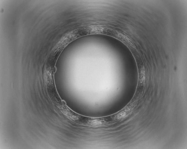 X0000059240522200510171434