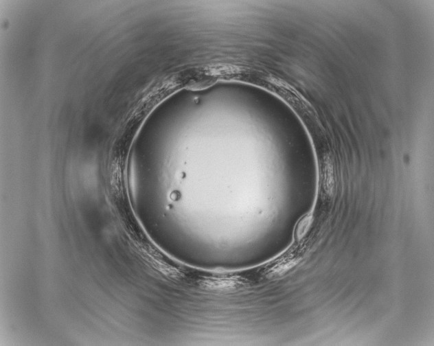 X0000059240523200510171434