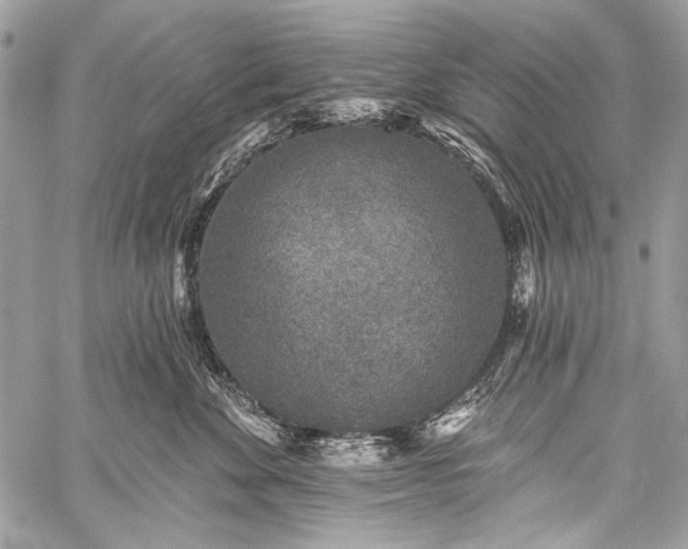 X0000059240524200510171434