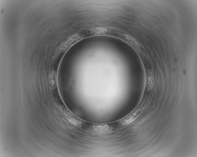 X0000059240525200510171434