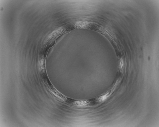 X0000059240526200510171434