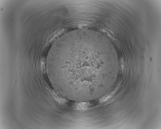 X0000059240527200510171434