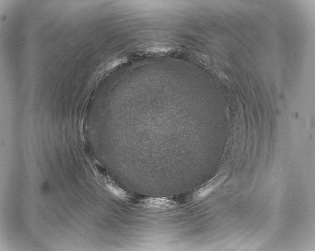 X0000059240528200510171434