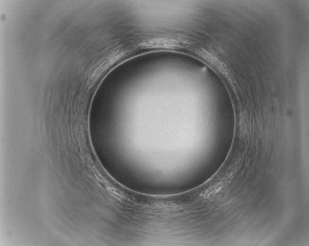 X0000059240529200510171434