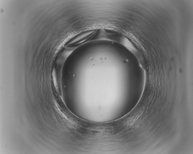 X0000059240530200510171434