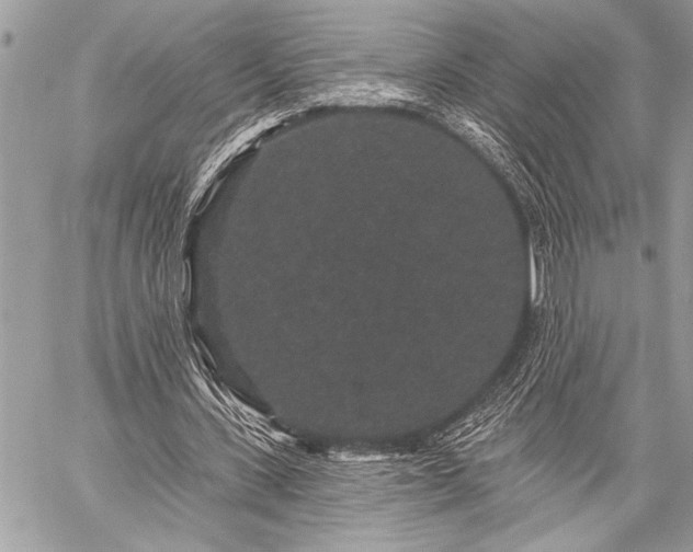 X0000059240531200510171434