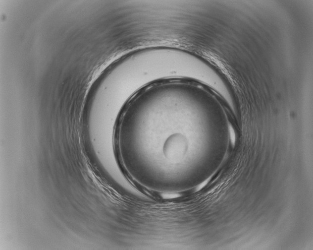 X0000059240532200510171434