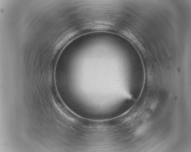 X0000059240533200510171434