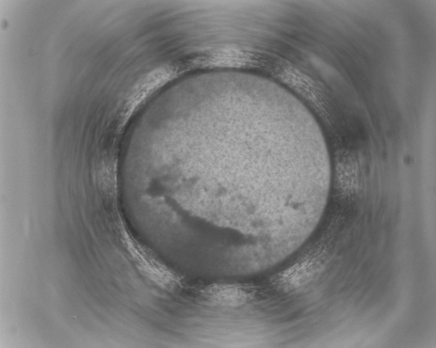 X0000059240534200510171434