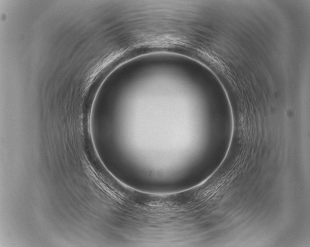 X0000059240535200510171434