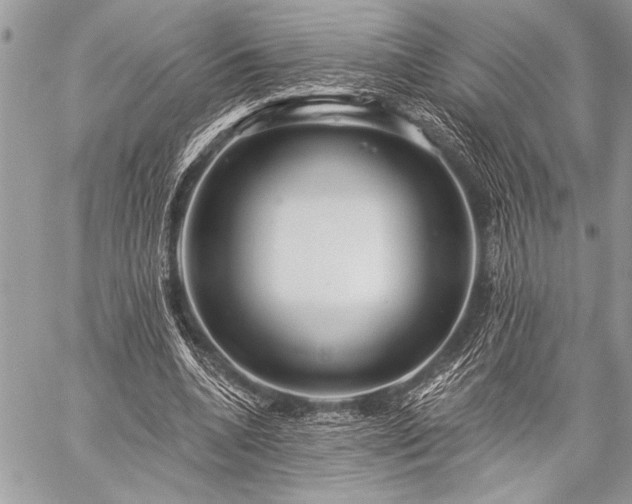 X0000059240536200510171434