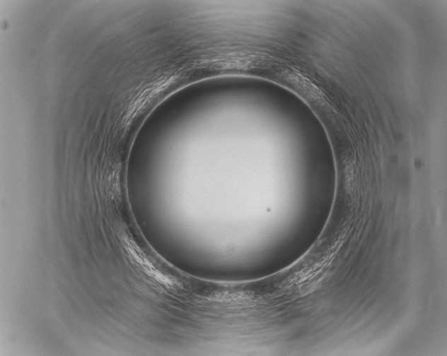 X0000059240537200510171434